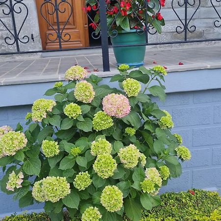 Garden Guest House Përmet エクステリア 写真