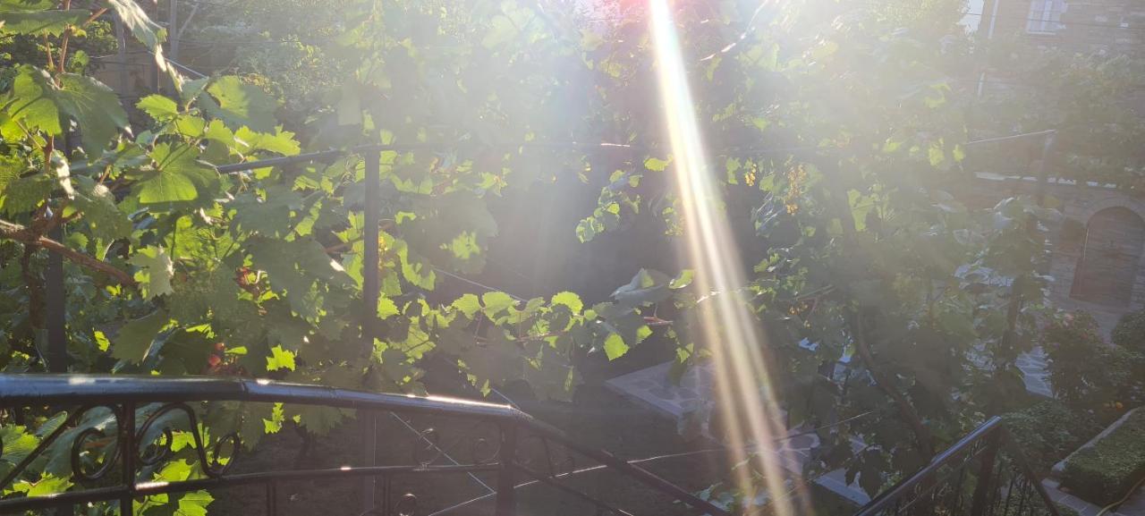 Garden Guest House Përmet エクステリア 写真