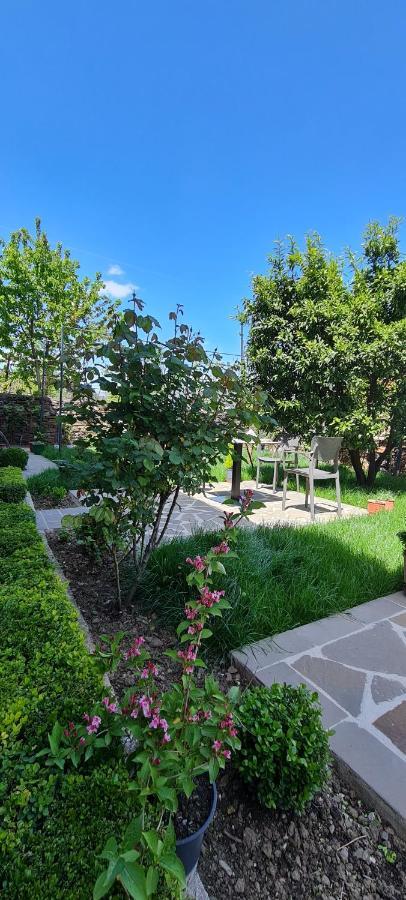 Garden Guest House Përmet エクステリア 写真