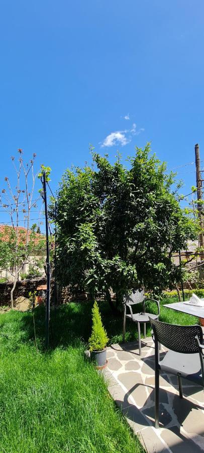 Garden Guest House Përmet エクステリア 写真