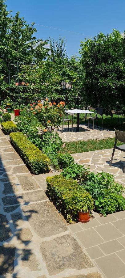 Garden Guest House Përmet エクステリア 写真