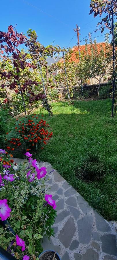 Garden Guest House Përmet エクステリア 写真
