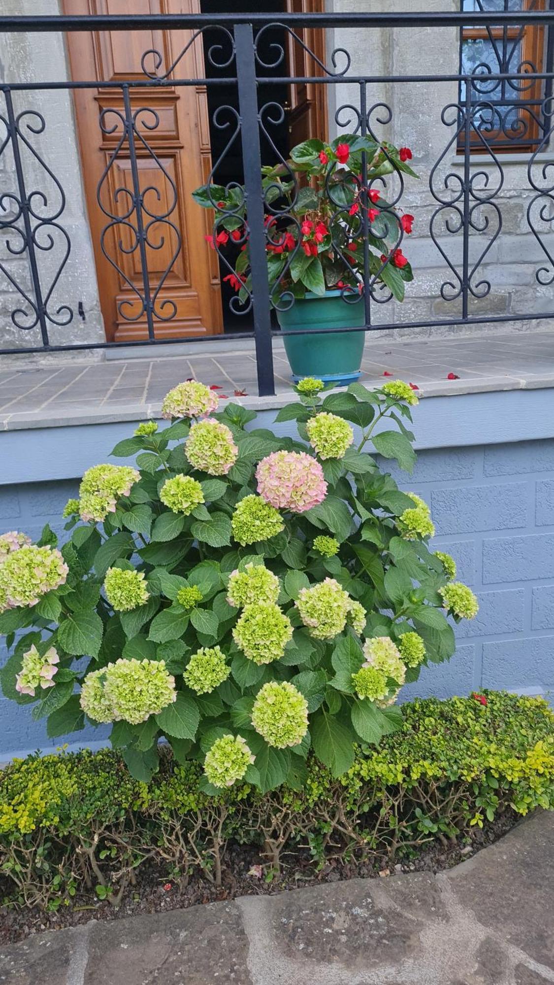 Garden Guest House Përmet エクステリア 写真